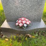 large primrose on grave