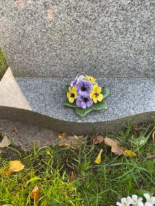 pansy on gravestone