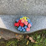 polyanthus forget me not on grave flower