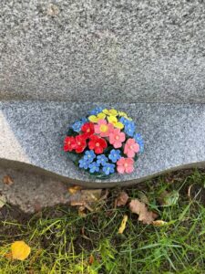 polyanthus forget me not on grave flower