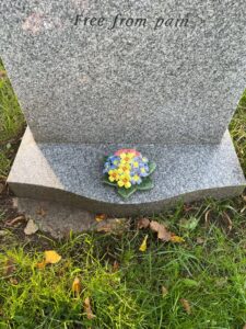 polyanthus on grave stone